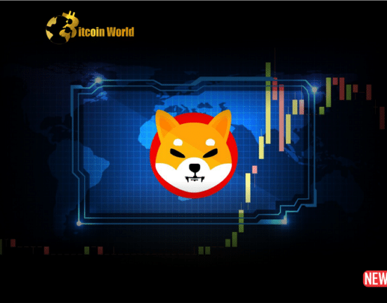 shiba inu 2