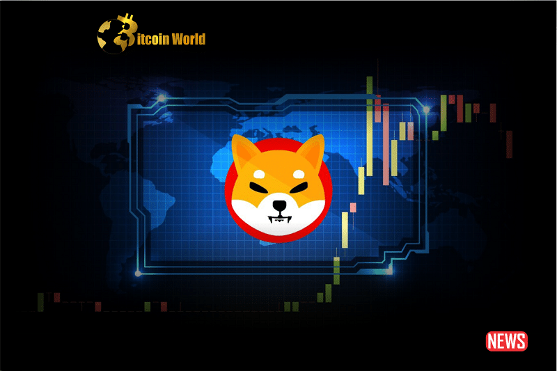 shiba inu 2