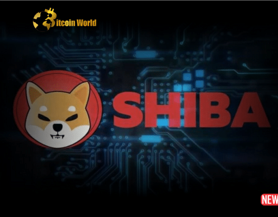 shiba inu 3