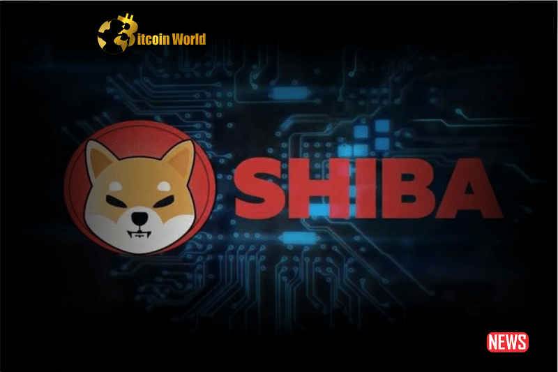 shiba inu 3