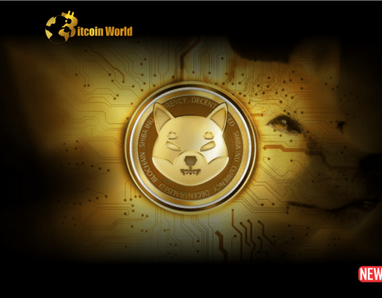 shiba inu 4 1