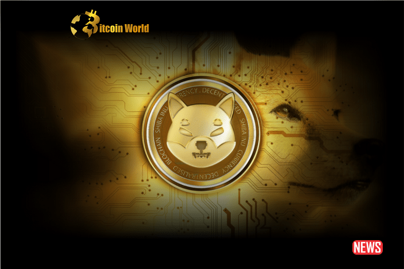 shiba inu 4 1