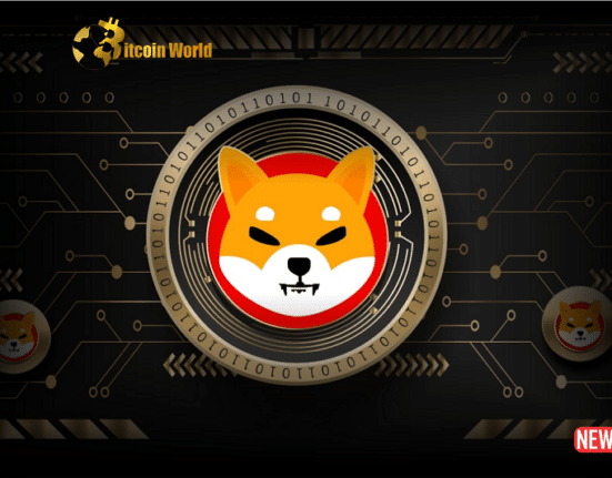 shiba inu 4
