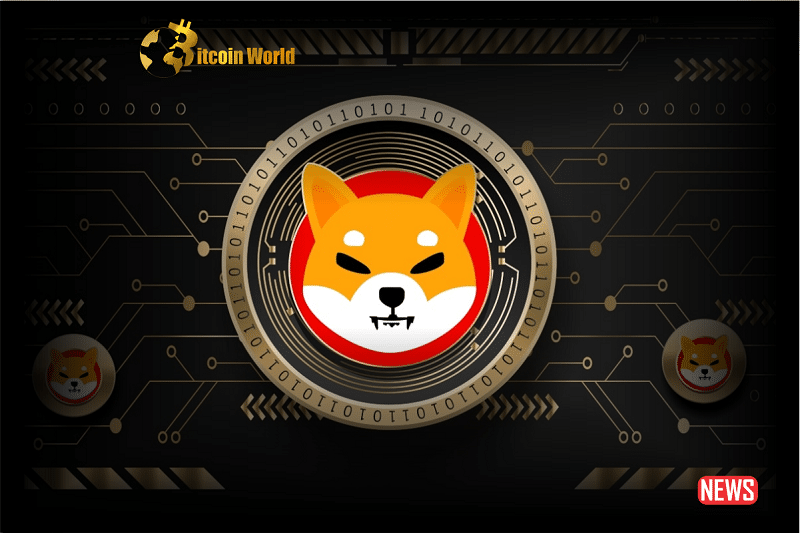 shiba inu 4