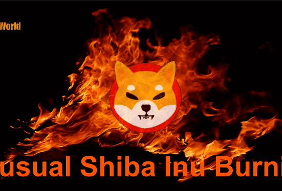 shiba inu burning