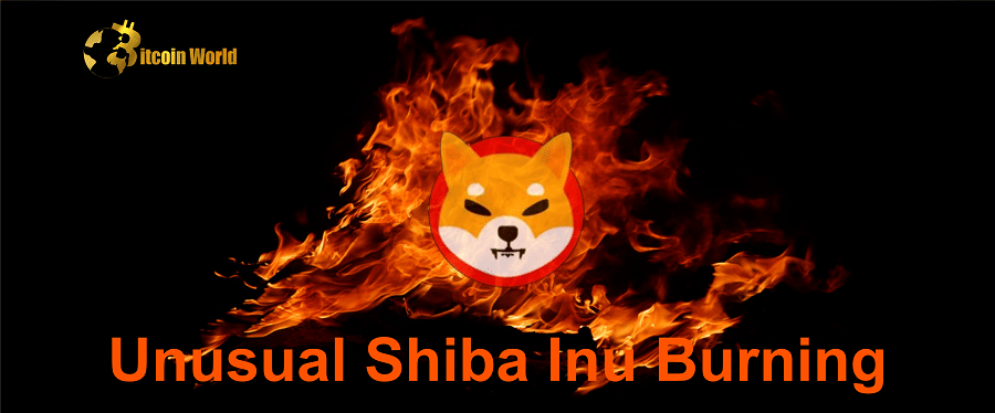 shiba inu burning