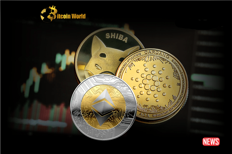 shiba inu cardano eth