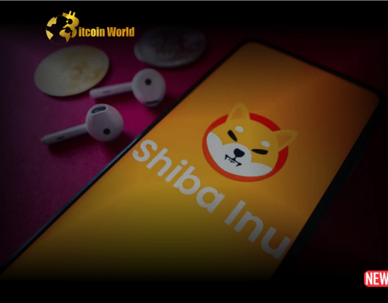 shiba inu community 2