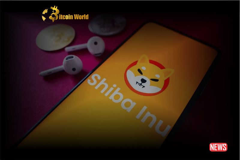 shiba inu community 2