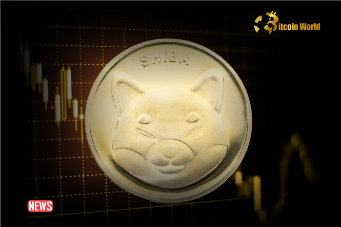 Shiba Inu Down More Than 7% Within 24 Hours