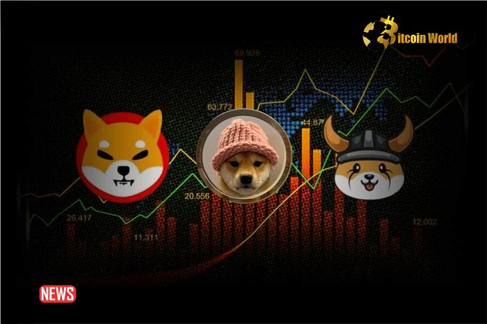 Meme Coin Price Analysis: Shiba Inu, Floki, Dogwifhat Surge
