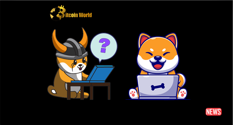 shiba inu floki