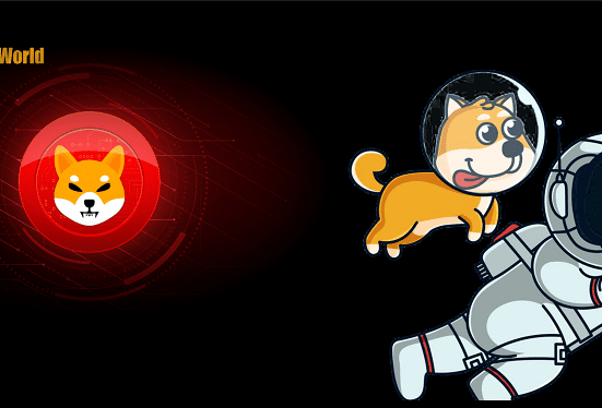 shiba inu flying 1