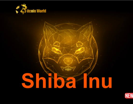 shiba inu left out