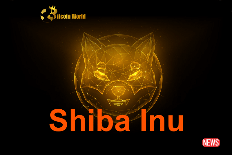 shiba inu left out