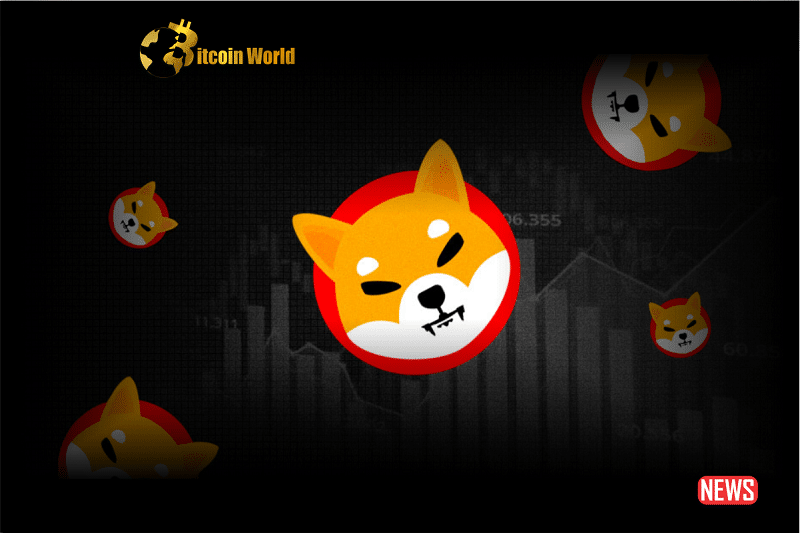 shiba inu rally
