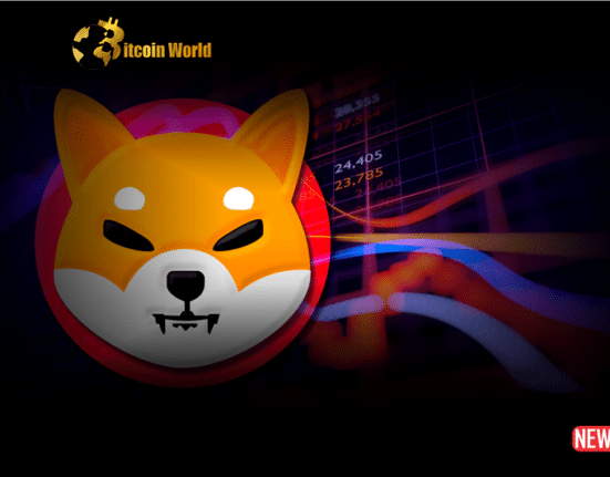 shiba inu rise 1