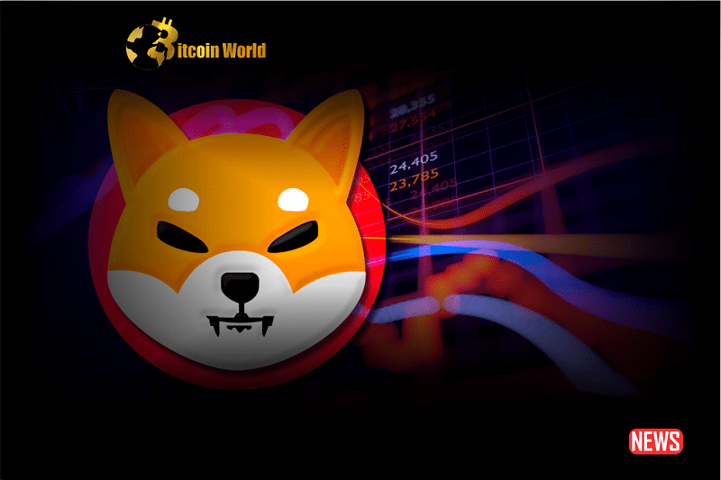 shiba inu rise 1