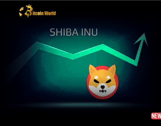 shiba inu rise 2