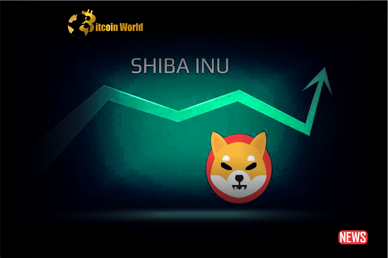 shiba inu rise 2
