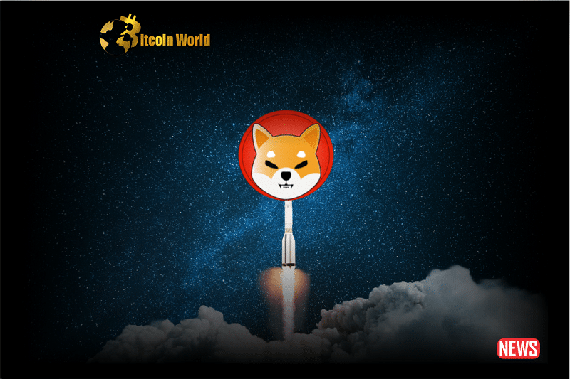 shiba inu skyro