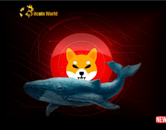 shiba inu whale