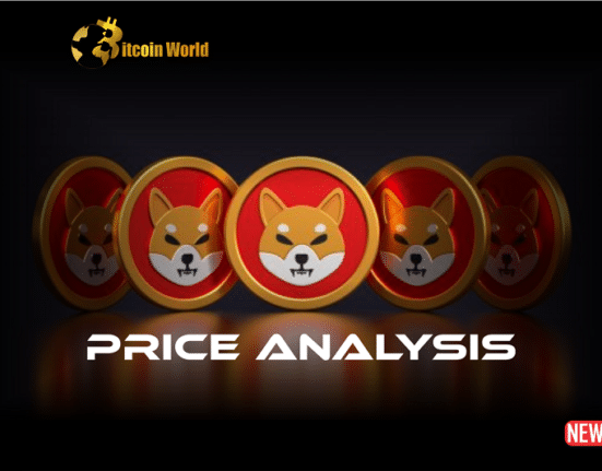 shiba proce ana