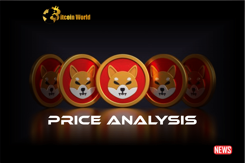 shiba proce ana