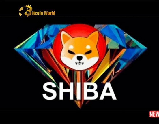 shiba soar