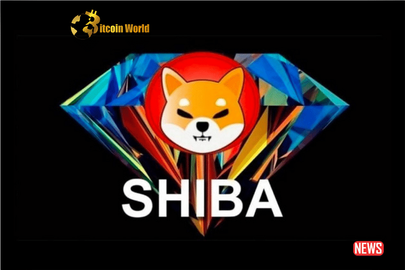 shiba soar