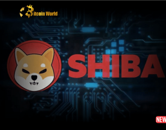 shiba token anti