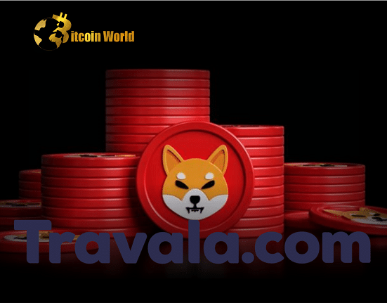 Travel Company Launches New Program To Help Shiba Inu Holders Earn Commissions