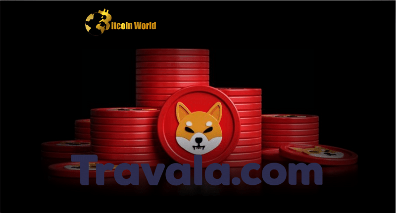 Travel Company Launches New Program To Help Shiba Inu Holders Earn Commissions