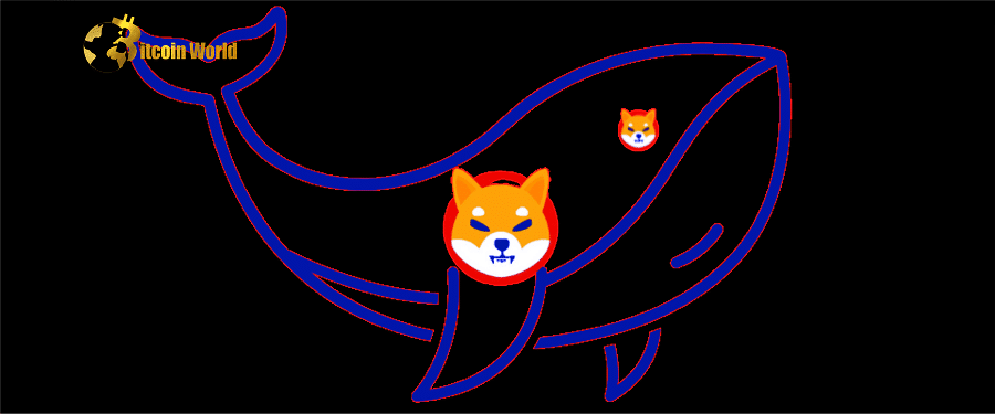 Mysterious Shiba Inu Whale Adds 384 Billion $SHIB in 10 Days as Shibarium Launch Nears