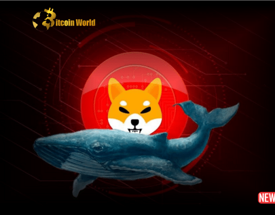 shiba whale 1