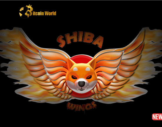 shiba wings