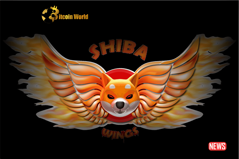 shiba wings