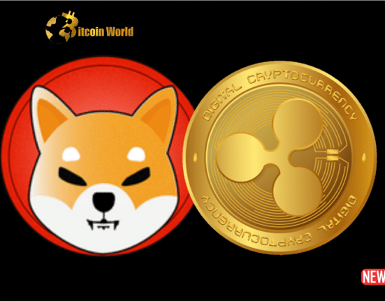 shiba xrp