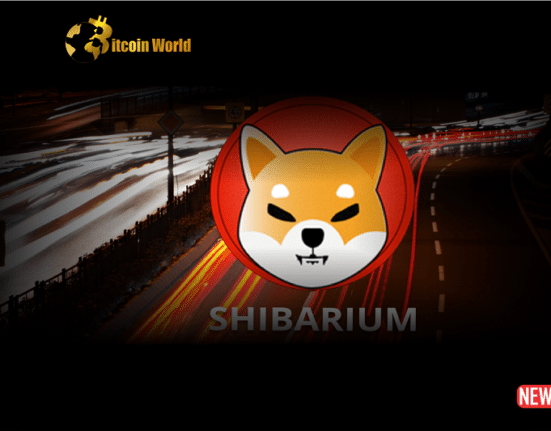 shibarium 3
