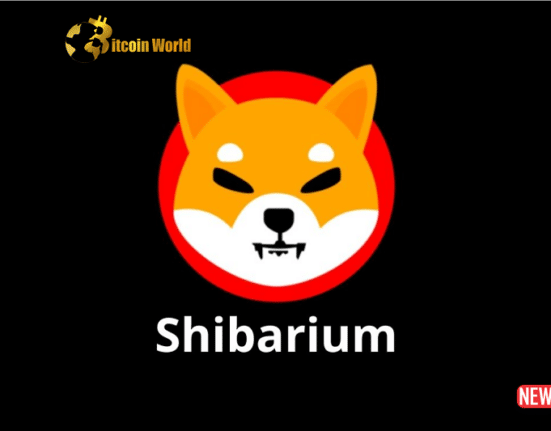 shibarium 4