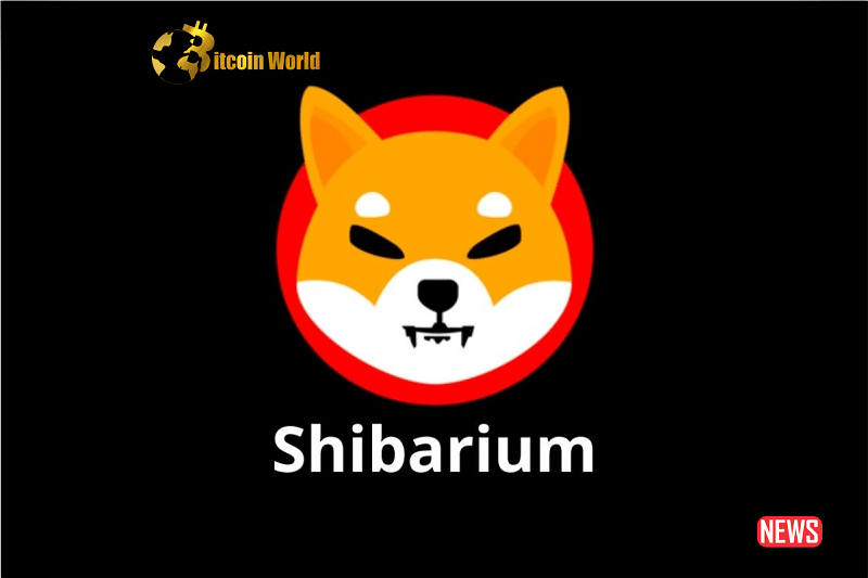 shibarium 4