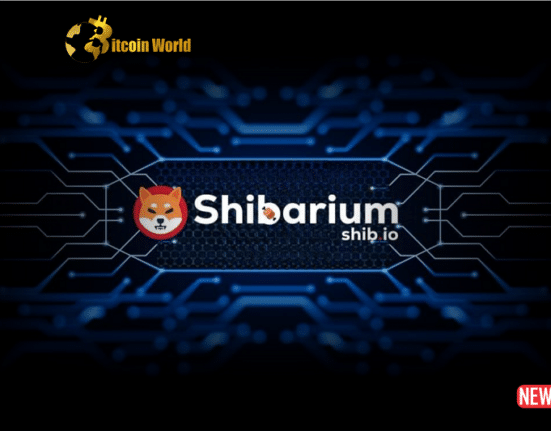 shibarium 5