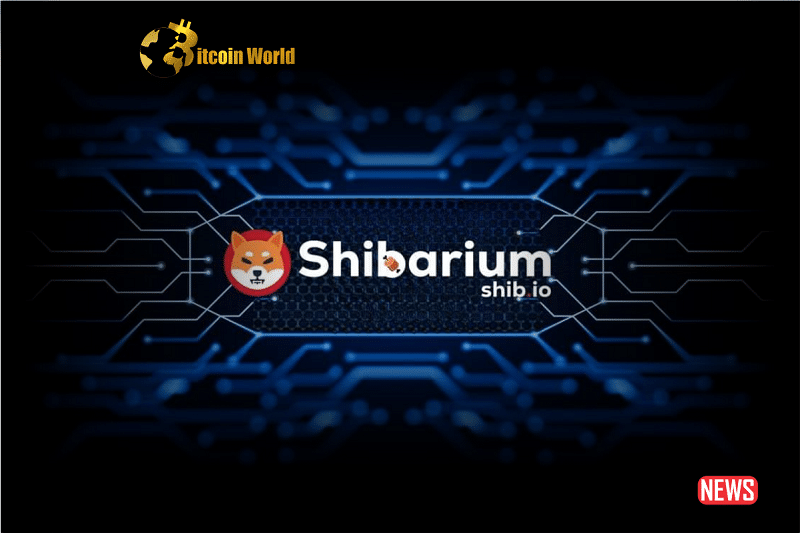 shibarium 5