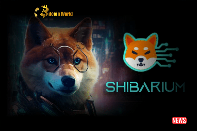 shibarium phenom