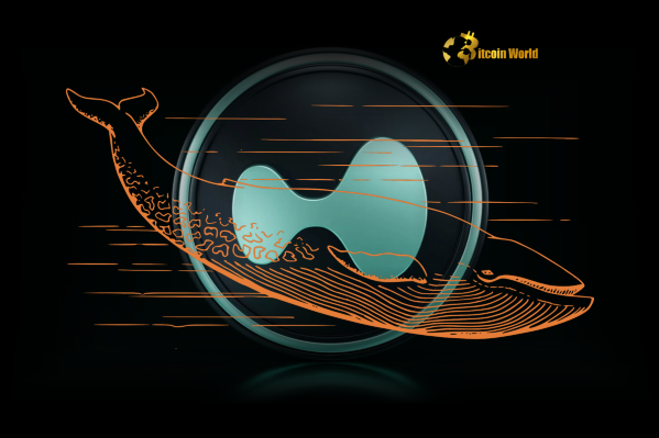 SHOCK: Hyperliquid Whale Faces Potential $5.4M Bitcoin Loss