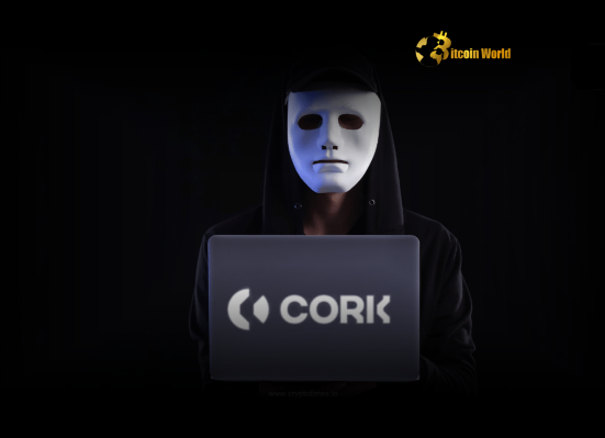 Shocking $12M Smart Contract Exploit Rocks Cork Protocol