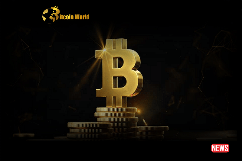 should u hold btc 1