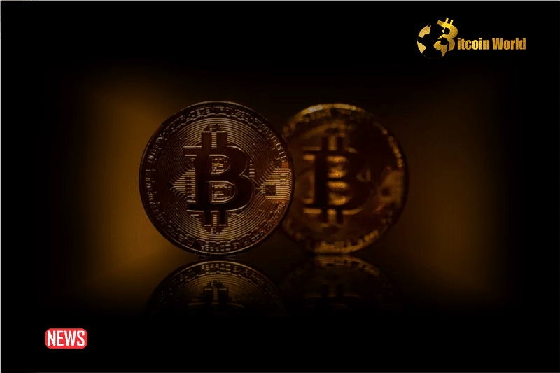 German Law Enforcement Agencies Have Temporarily Seized About 50,000 Bitcoins In Major Cybercrime Crackdown