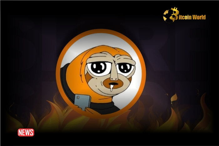 Solana Meme Coin, Slerf, Accidentally Burns $10M of Presale Funds