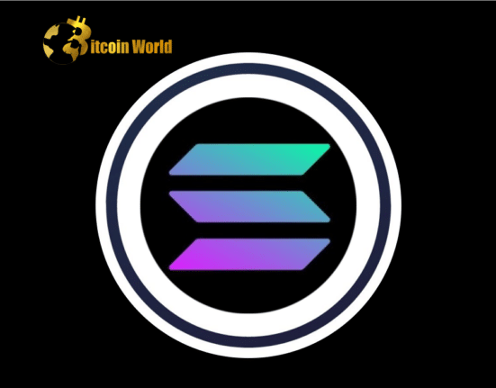 Solana: Outage FUD Subsides, Should you Expect Better Performance in March?
